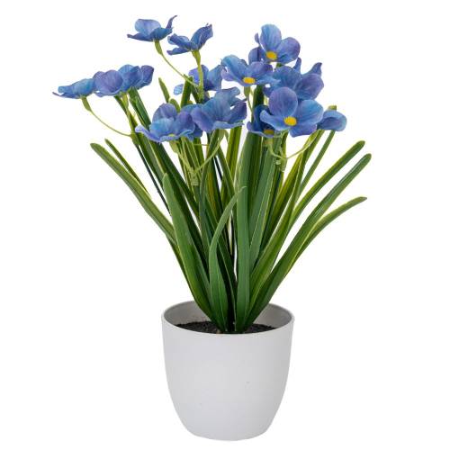 ΜΩΒ ΛΟΥΛΟΥΔΙΑ ΣΕ ΠΛΑΣΤΙΚΟ ΚΑΣΠΩ  Φ10Χ9Χ30ΕΚ