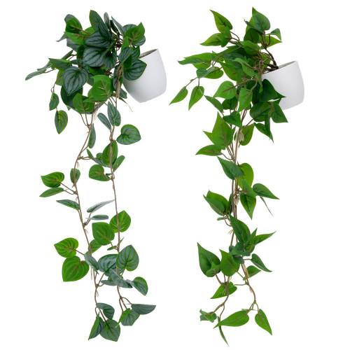 ΠΡΑΣΙΝΑΔΑ ΣΕ ΠΛΑΣΤΙΚΟ ΚΑΣΠΩ ΣΕ 2 ΣΧΕΔΙΑ 20Χ42  7Χ6ΕΚ