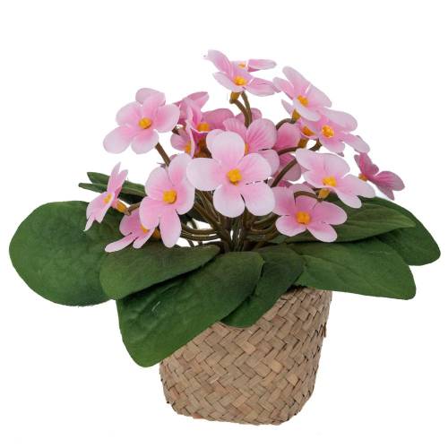 ΜΑΡΓΑΡΙΤΕΣ ΡΟΖ 17ΕΚ ΣΕ SEAGRASS ΚΑΣΠΩ Φ9Χ7