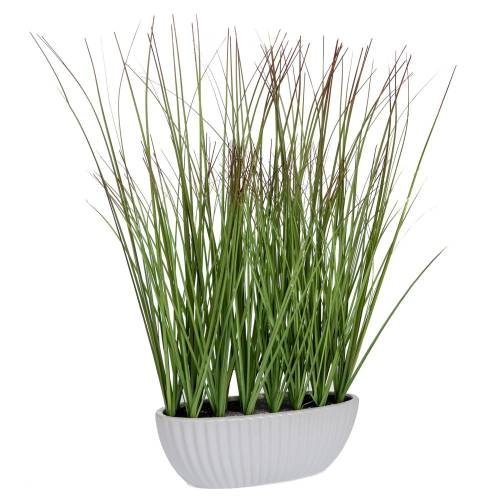 ΓΡΑΣΙΔΙ 50ΕΚ ΣΕ ΚΕΡΑΜΙΚΟ ΛΕΥΚΟ ΚΑΣΠΩ Φ22Χ10ΕΚ