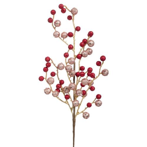 ΚΛΑΔΙ ΜΕ ΣΑΜΠΑΝΙ ΚΑΙ ΣΚ.ΚΟΚΚΙΝΑ BERRIES 53ΕΚ
