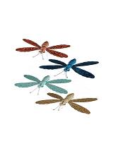 Λιβελούλα 31εκ. 4χρ.