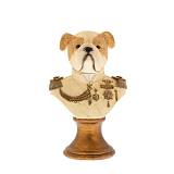 ΠΡΟΤΟΜΗ ΣΚΥΛΟΥ 15Χ10.5Χ23ΕΚ